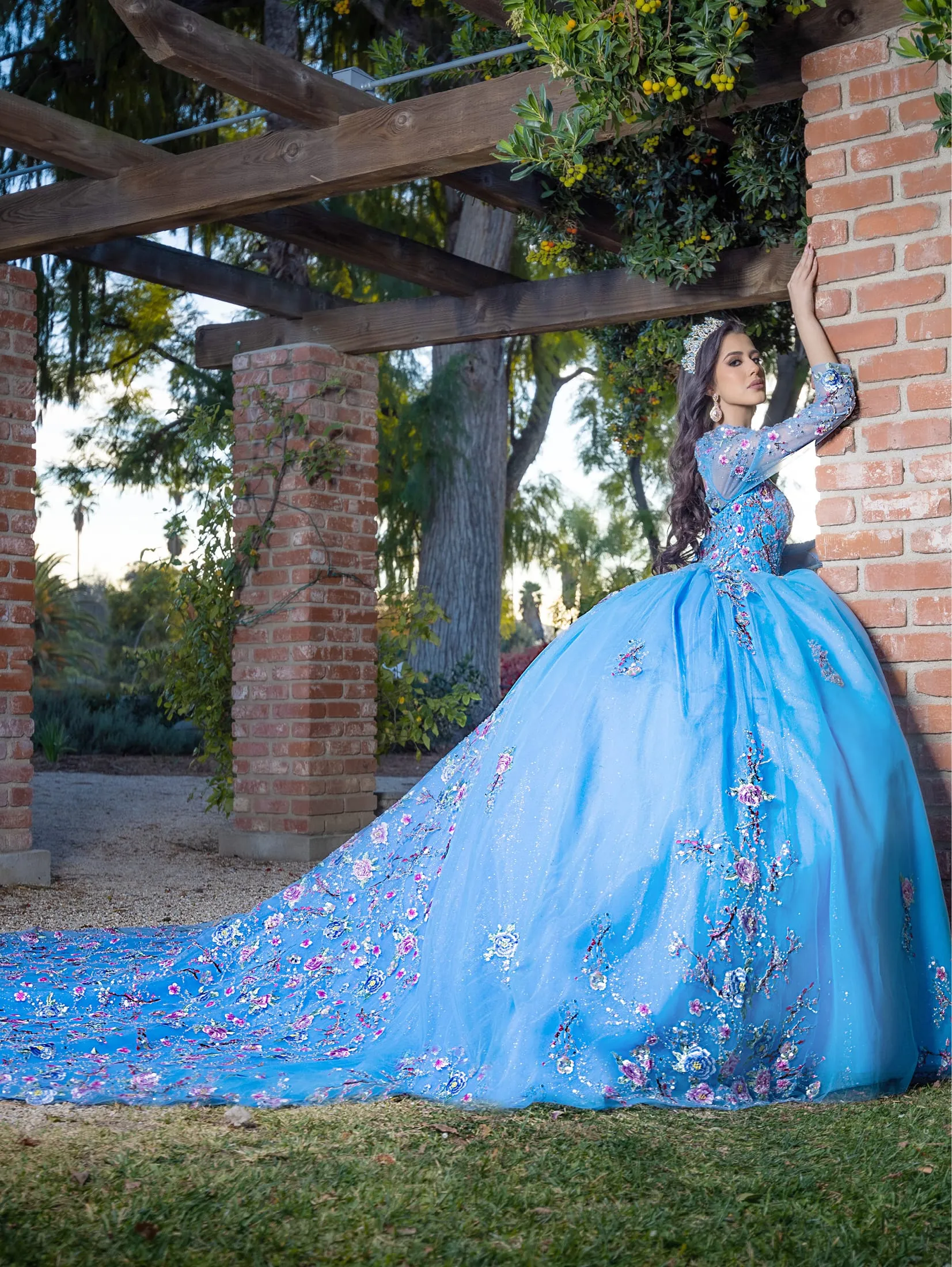 Applique Long Sleeve Ball Gown by LizLuo Quince 26093