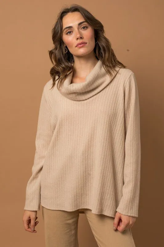 Long Sleeve Turtleneck Top