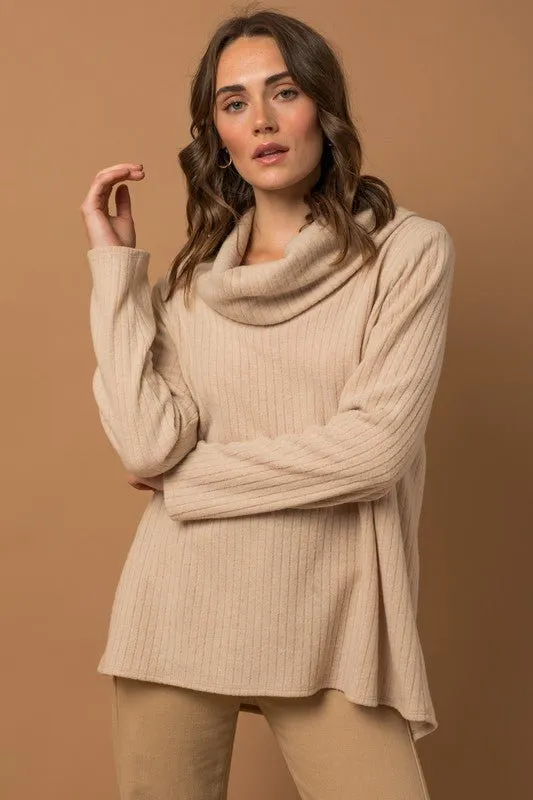 Long Sleeve Turtleneck Top