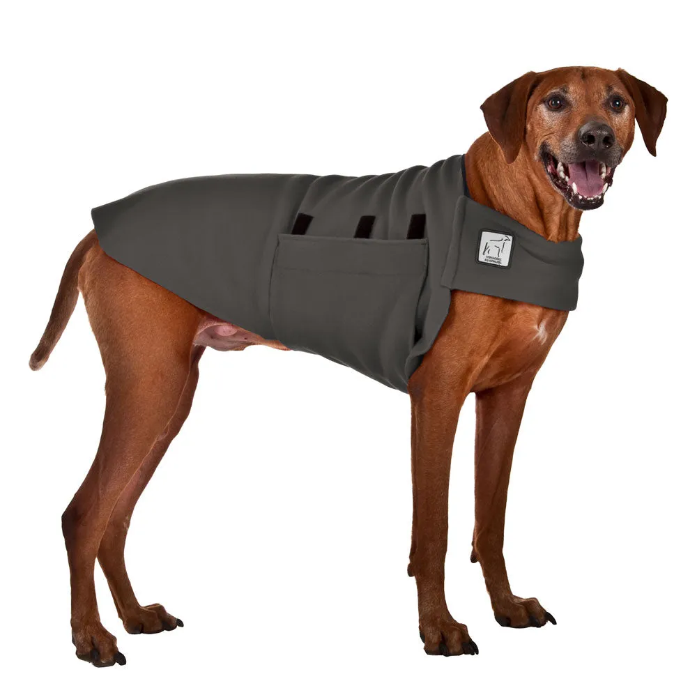 ReCoat ♻️ Rhodesian Ridgeback Tummy Warmer