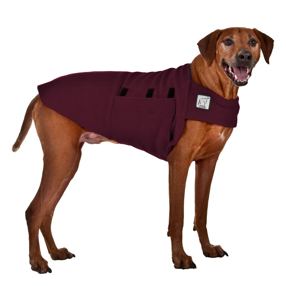 ReCoat ♻️ Rhodesian Ridgeback Tummy Warmer