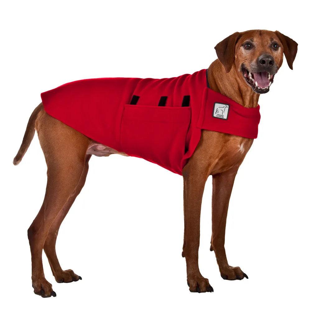 ReCoat ♻️ Rhodesian Ridgeback Tummy Warmer